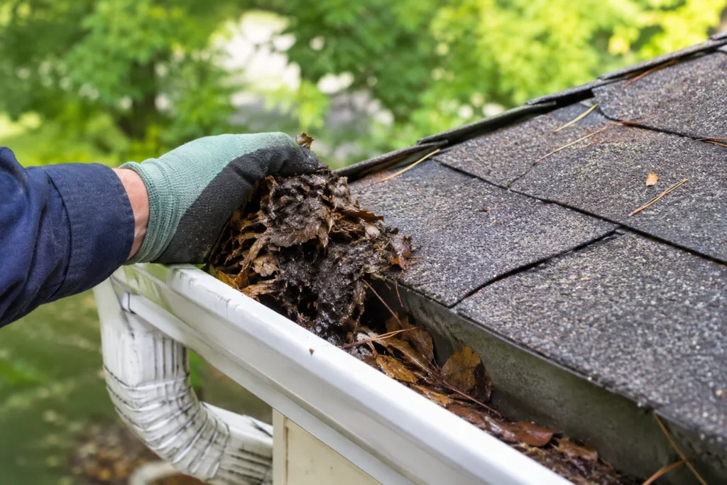 Cleaning leaves and debris from a home gutter to prevent water damage